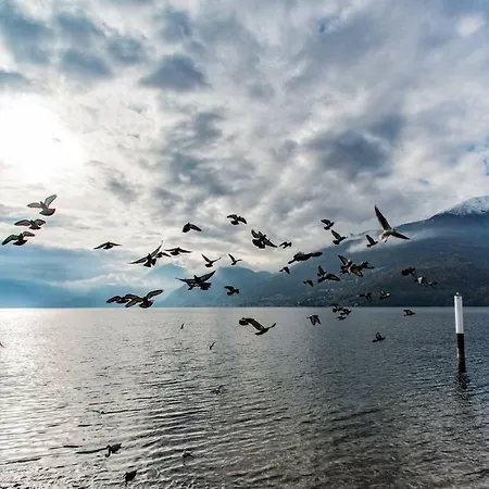 Family With Pool And Amazing Panoramic Penthouse 콜리코