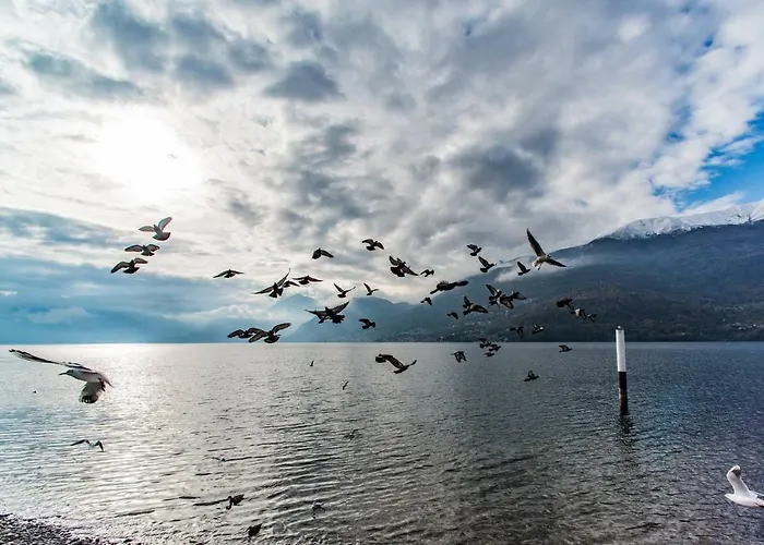 Family With Pool And Amazing Panoramic Penthouse Колико